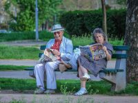 Anadolu Hayat Emeklilik Birikim Sorgulama (Nasıl Yapılır?)