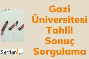Gazi Üniversitesi Tahlil Sonuç Sorgulama |  T.c. kimlik no ile tahlil sonuçları öğrenme