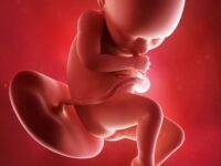 Kaç Haftalık Hamile Olduğumu Hesaplama | Gebelik Haftası Hesaplama