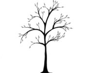 Kolay Ağaç Çizimi | Kolay Ağaç Çizimi Nasıl Olur