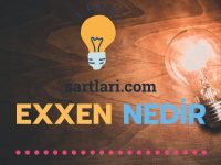 Exxen Nedir, Exxen Neden Kuruldu?