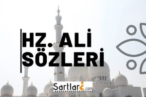 Hz Ali Sözleri | Hz Ali’nin Söylediği Sözler 2024-2025