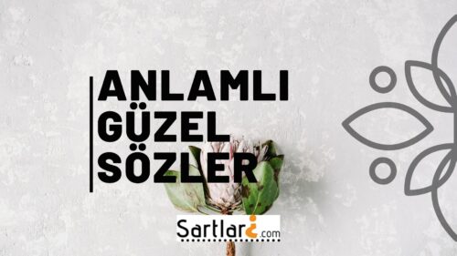 Anlaml? Güzel Sözler | Anlaml? Sözler 2022 - ?artlar? Neler