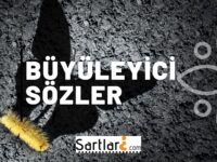 Büyüleyici Sözler | Büyüleyici Söz Aşk 2024-2025