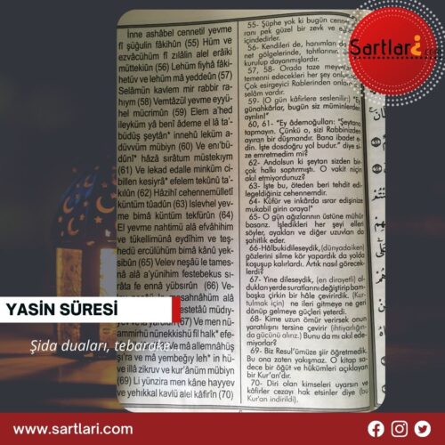 Yasin Suresi Türkçesi ve Türkçe Okunuşu 5. sayfa. 