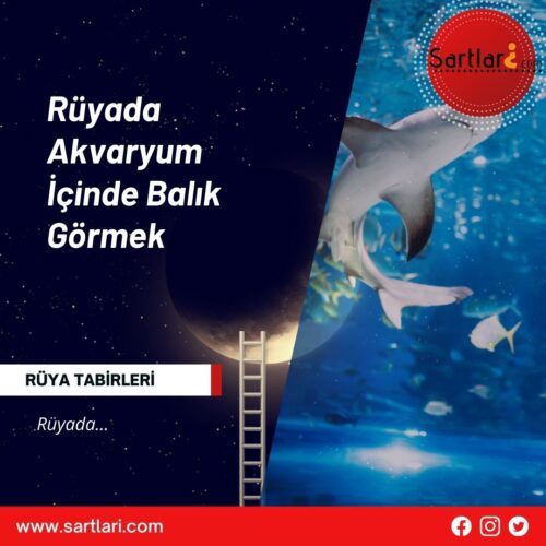 Rüyada Akvaryum İçinde Balık Görmek