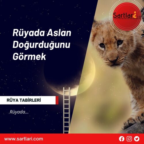 Rüyada Aslan Doğurduğunu Görmek