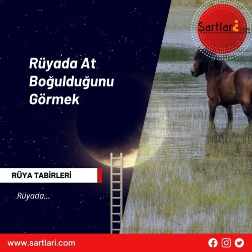 Rüyada At Boğulduğunu Görmek