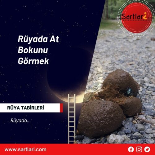 Rüyada At Bokunu Görmek