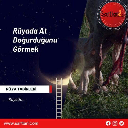 Rüyada At Doğurduğunu Görmek