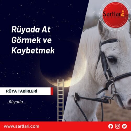 Rüyada At Görmek ve Kaybetmek