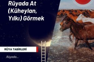 Rüyada At (Küheylan, Yılkı) Görmek