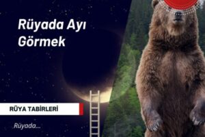 Rüyada Ayı Görmek | Rüyada Ayı Görmek Ne Anlama Gelir?