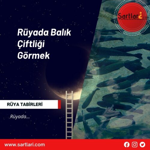 Rüyada Balık Çiftliği Görmek