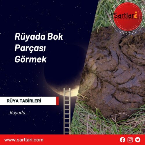 Rüyada Bok Parçası Görmek