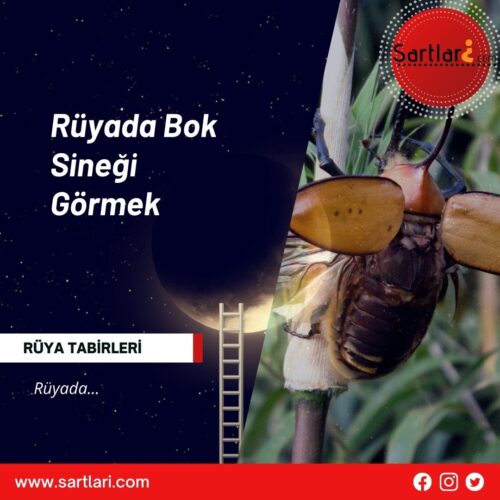 Rüyada Bok Sineği Görmek