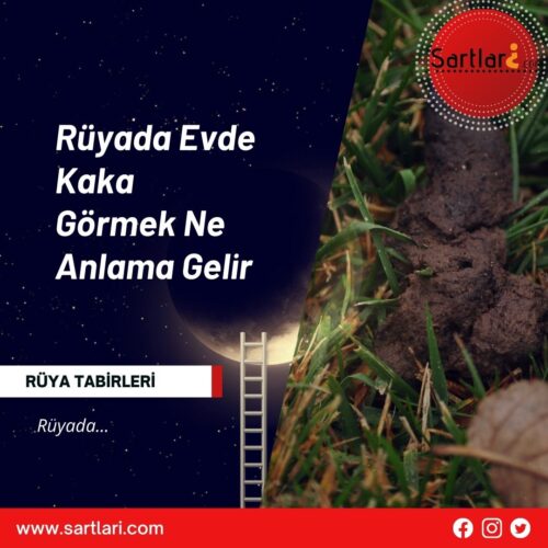 Rüyada Evde Kaka Görmek Ne Anlama Gelir