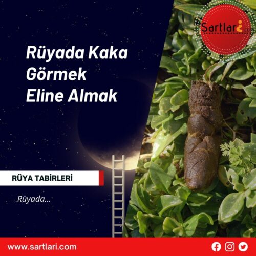 Rüyada Kaka Görmek Eline Almak