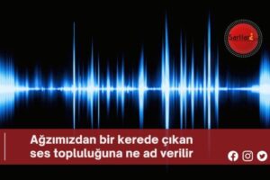 Ağzımızdan bir kerede çıkan ses topluluğuna ne ad verilir?