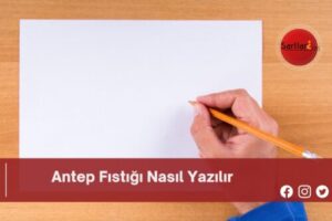 Antep Fıstığı Nasıl Yazılır | Antep Fıstığı Nasıl Yazılır TDK