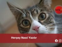 Herşey Nasıl Yazılır | Herşey Nasıl Yazılır TDK