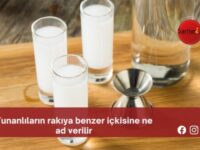 Yunanlıların rakıya benzer içkisine ne ad verilir?