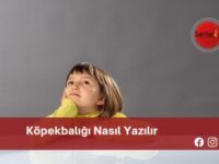 Köpekbalığı Nasıl Yazılır