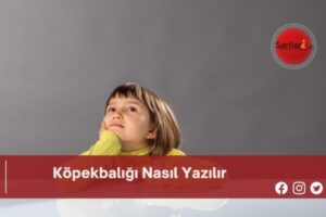 Köpekbalığı Nasıl Yazılır