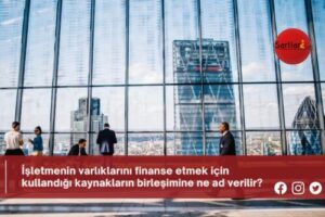 İşletmenin varlıklarını finanse etmek için kullandığı kaynakların birleşimine ne ad verilir?