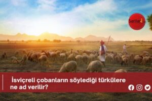 İsviçreli çobanların söylediği türkülere ne ad verilir?