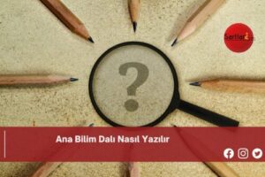 Ana Bilim Dalı Nasıl Yazılır | Ana Bilim Dalı Nasıl Yazılır TDK