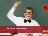 Ay Çiçeği Nasıl Yazılır | Ay Çiçeği Nasıl Yazılır TDK