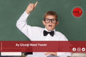 Ay Çiçeği Nasıl Yazılır | Ay Çiçeği Nasıl Yazılır TDK