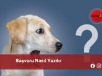 Başvuru Nasıl Yazılır | Başvuru Nasıl Yazılır TDK