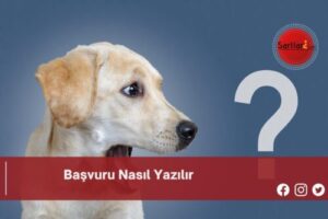 Başvuru Nasıl Yazılır | Başvuru Nasıl Yazılır TDK