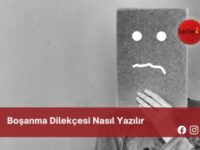 Boşanma Dilekçesi Nasıl Yazılır | Boşanma Dilekçesi Nasıl Yazılır TDK