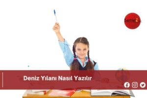 Deniz Yılanı Nasıl Yazılır | Deniz Yılanı Nasıl Yazılır TDK