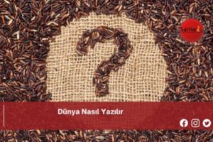 Dünya Nasıl Yazılır | Dünya Nasıl Yazılır TDK