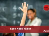 Eşek Nasıl Yazılır | Eşek Nasıl Yazılır TDK