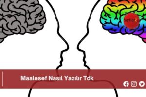 Maalesef Nasıl Yazılır Tdk | Maalesef Nasıl Yazılır