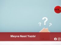 Meyva Nasıl Yazılır | Meyva Nasıl Yazılır TDK