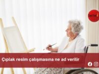 Çıplak resim çalışmasına ne ad verilir?