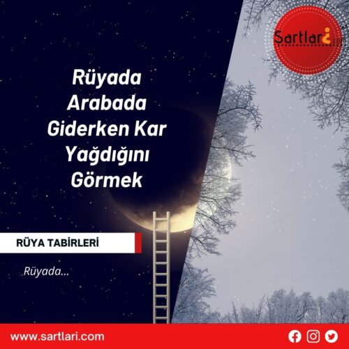 Rüyada Arabada Giderken Kar Yağdığını Görmek