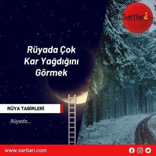 Rüyada Çok Kar Yağdığını Görmek