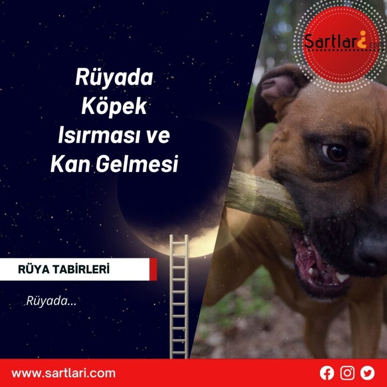 Rüyada Köpek Isırması  Şartları Neler