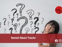 Senet Nasıl Yazılır | Senet Nasıl Yazılır TDK