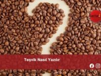 Teşvik Nasıl Yazılır | Teşvik Nasıl Yazılır TDK