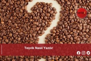 Teşvik Nasıl Yazılır | Teşvik Nasıl Yazılır TDK