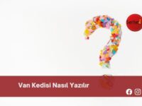 Van Kedisi Nasıl Yazılır | Van Kedisi Nasıl Yazılır TDK