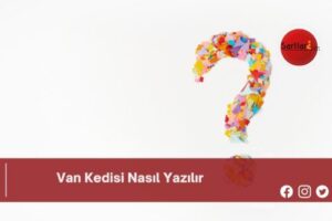 Van Kedisi Nasıl Yazılır | Van Kedisi Nasıl Yazılır TDK